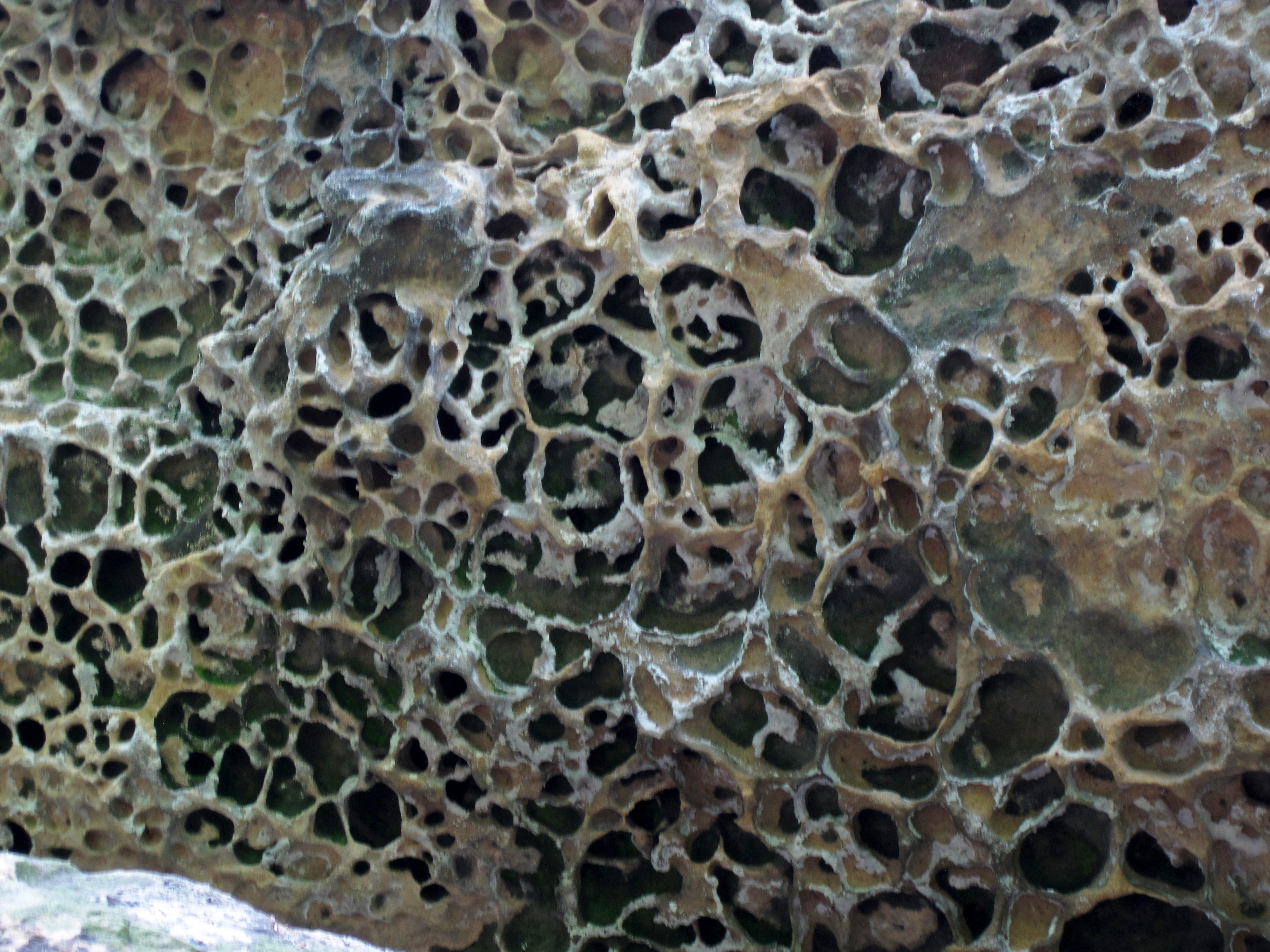 Honeycomb weathering