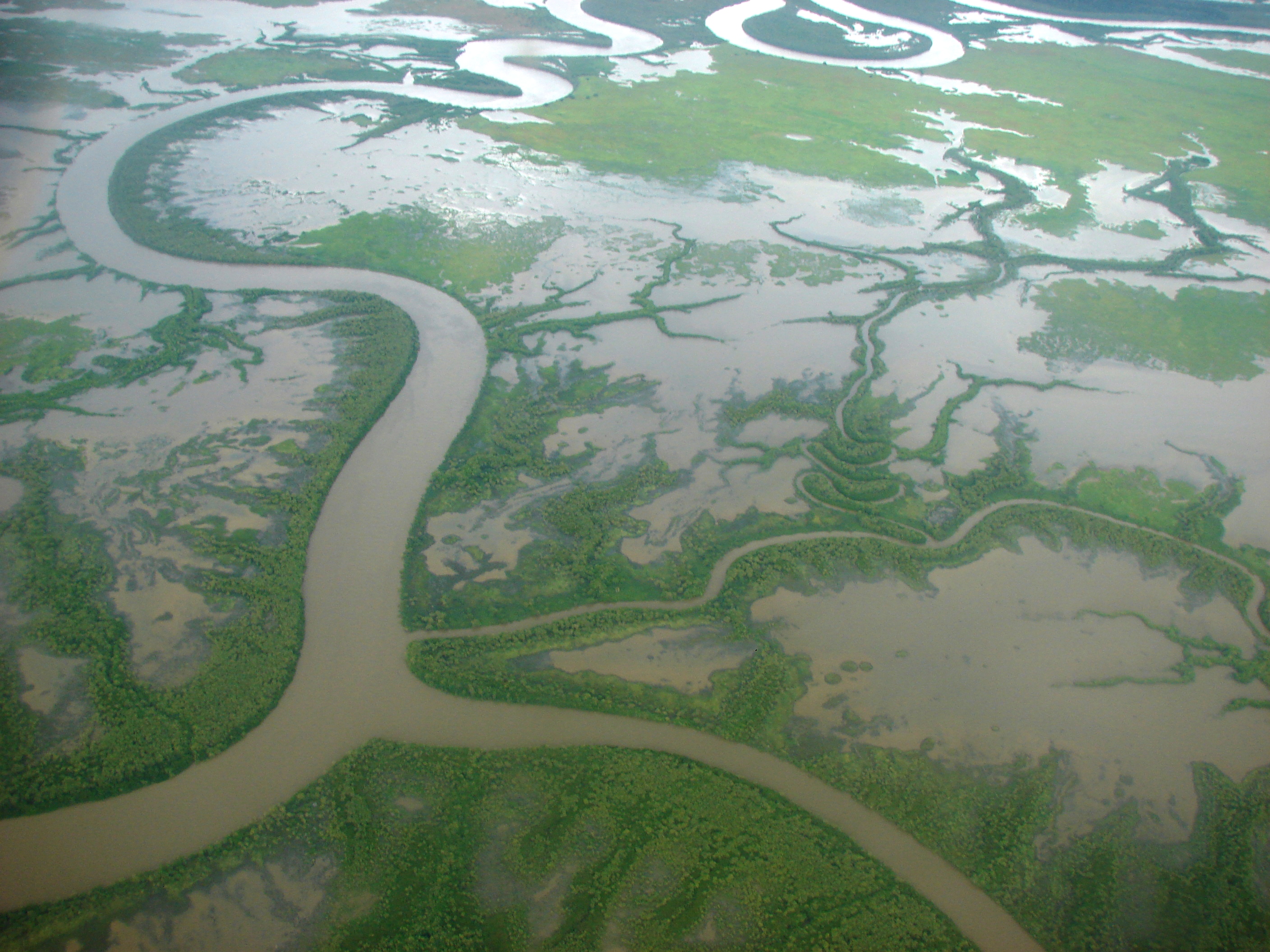 The Mitchell River delta